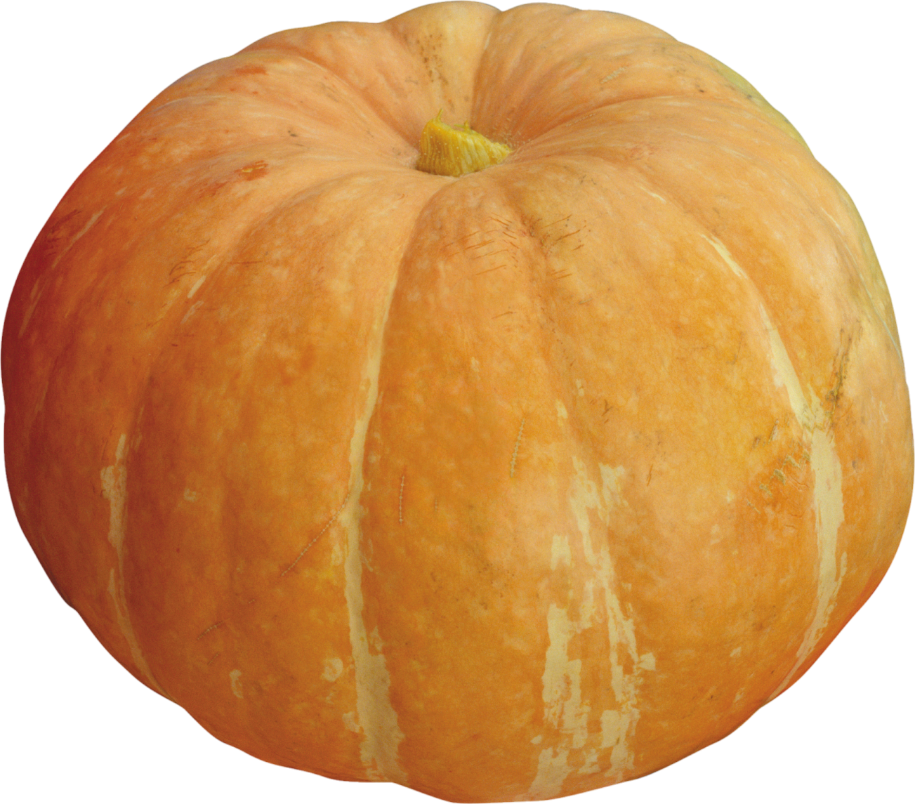 a large orange pumpkin on a white background