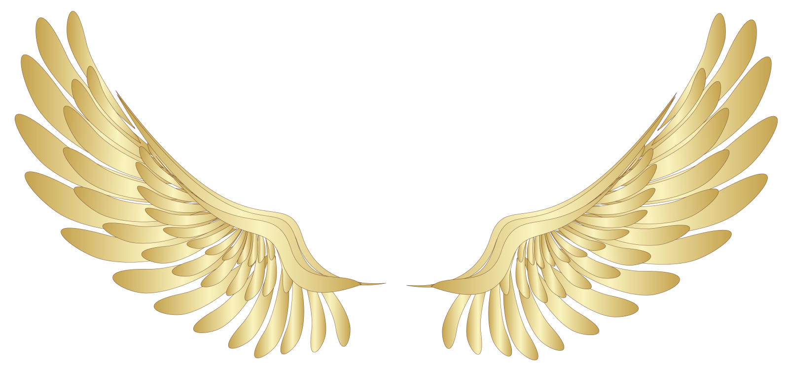 a pair of golden wings