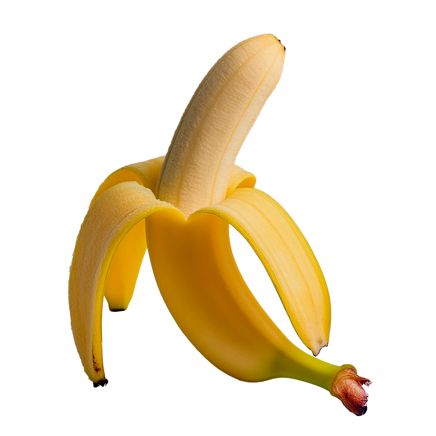 the banana is yellow