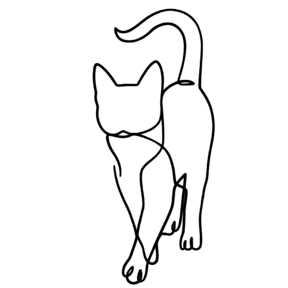 how to draw a cat