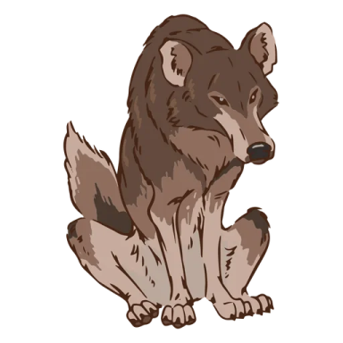 a drawing of a wolf sitting on the ground