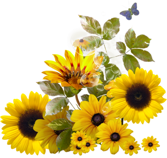 a bouquet of sunflowers and butterflies