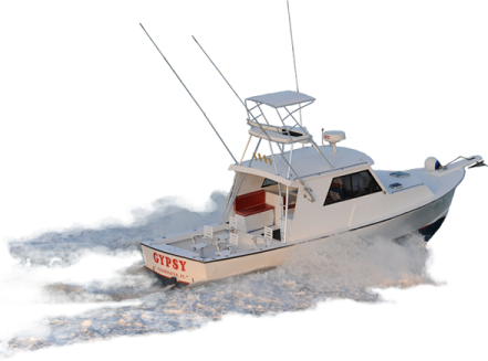 the boat is white