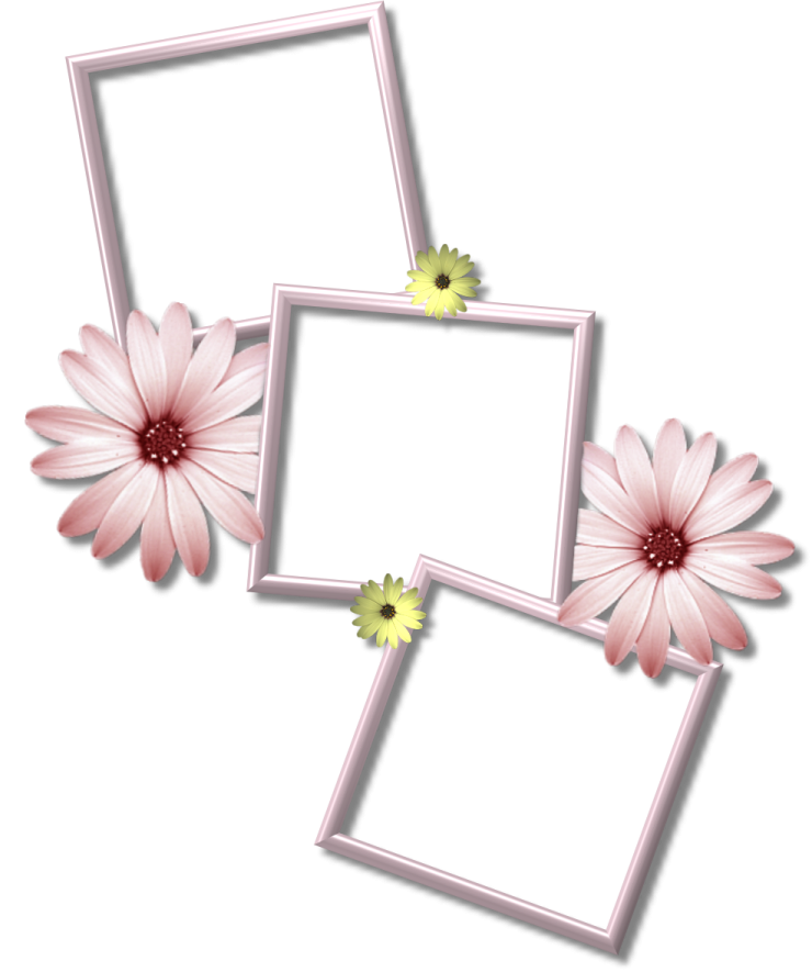 three frames with pink flowers on them