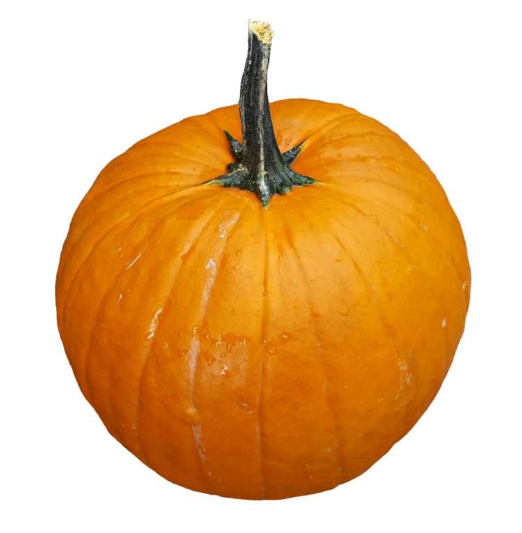 a large orange pumpkin on a white background