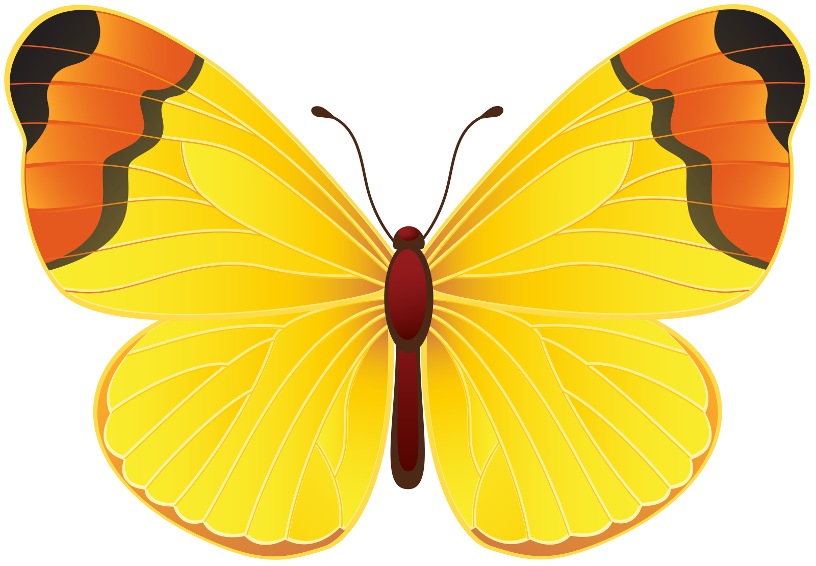 a yellow butterfly on a white background