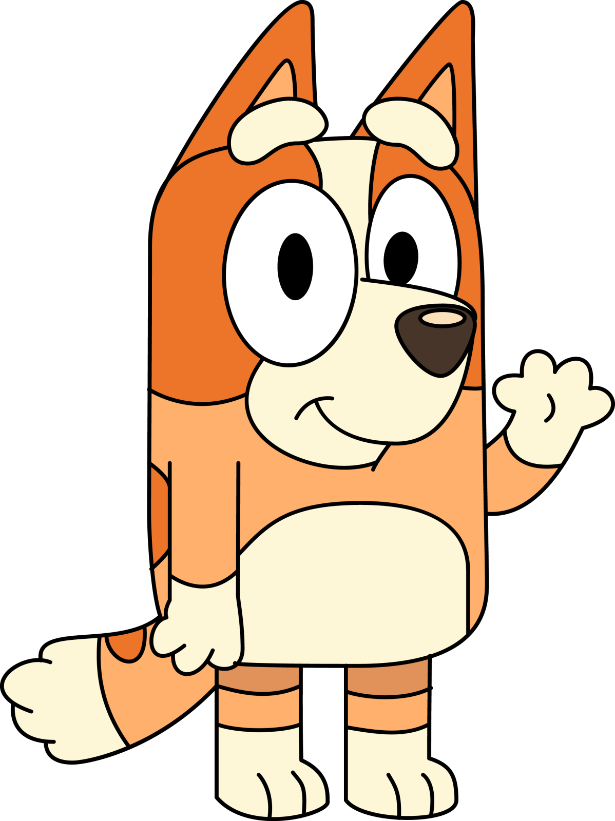 an orange and white cat with a black nose