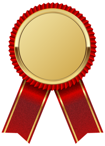 a gold medal with red ribbon