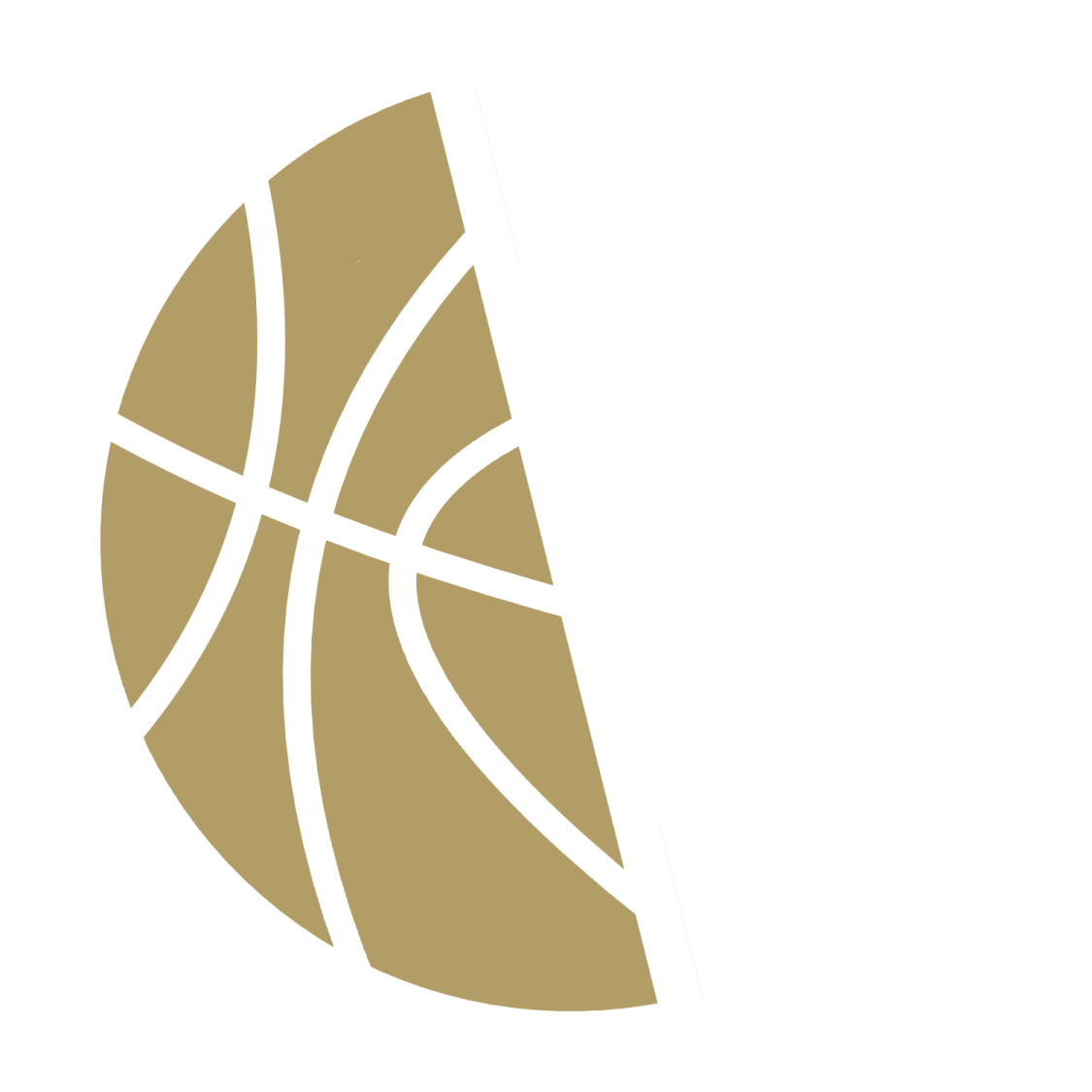the logo for a basketball team