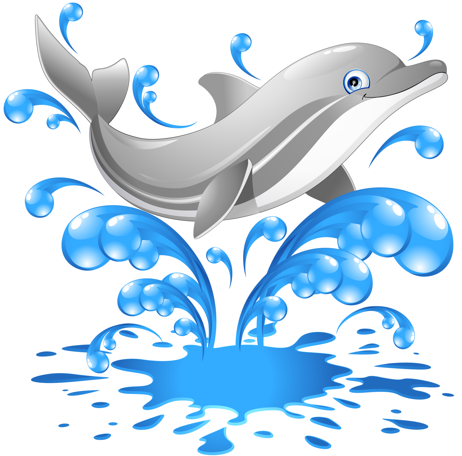 a dolphin jumping out of the water