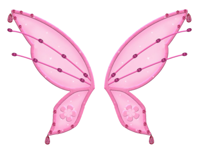 a pink butterfly wings
