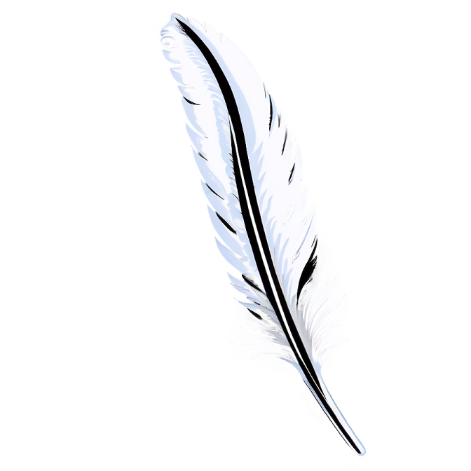a white feather with black and white feathers