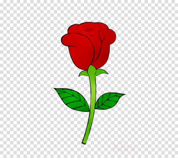 a red rose with green leaves on the stem