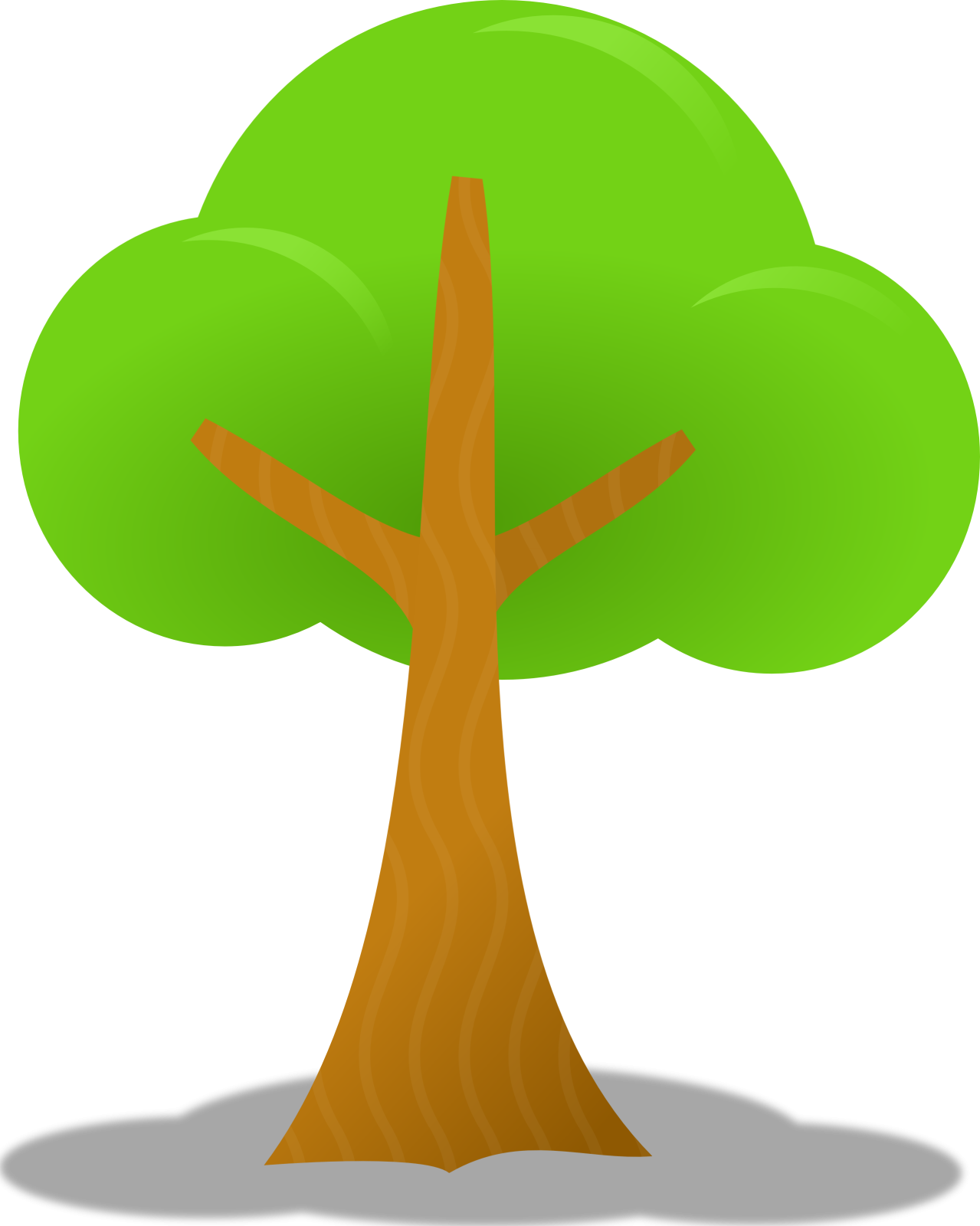 a green tree with a white background