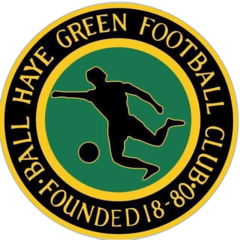 the green football club logo