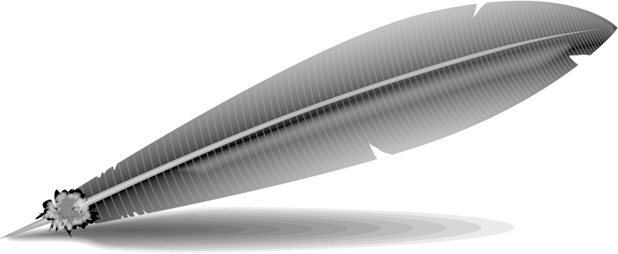 a black and white feather on a white background