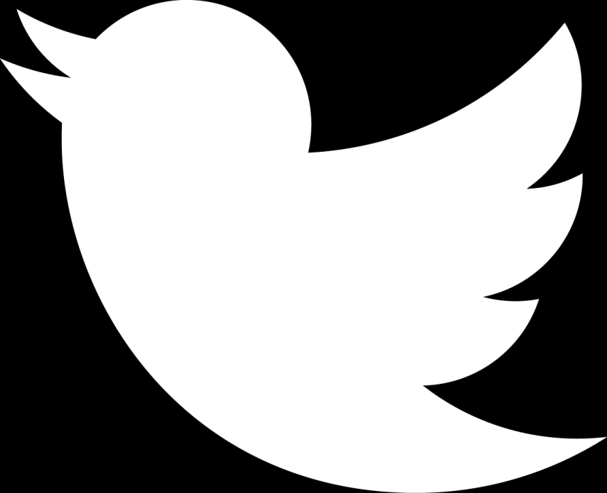 a white twitter logo