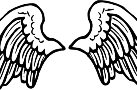 a pair of angel wings