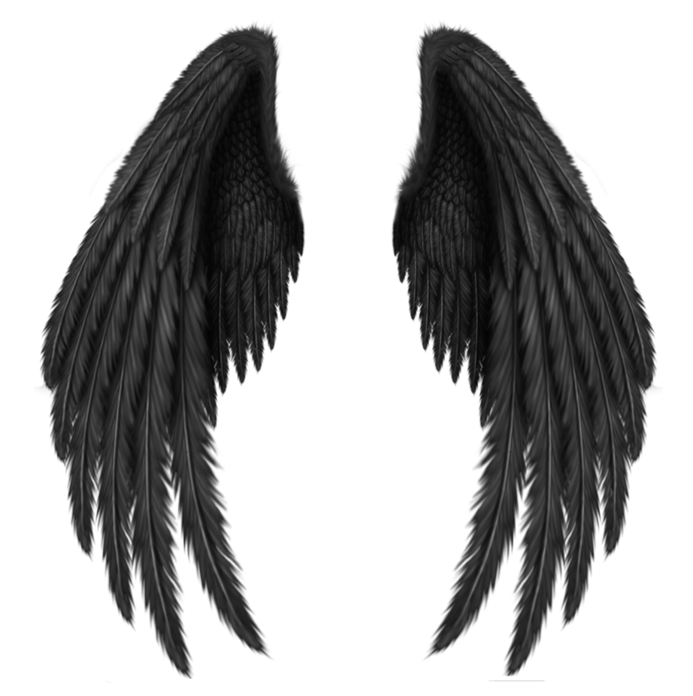 two black wings on a white background