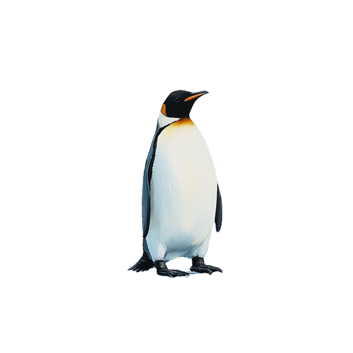 a black and white penguin