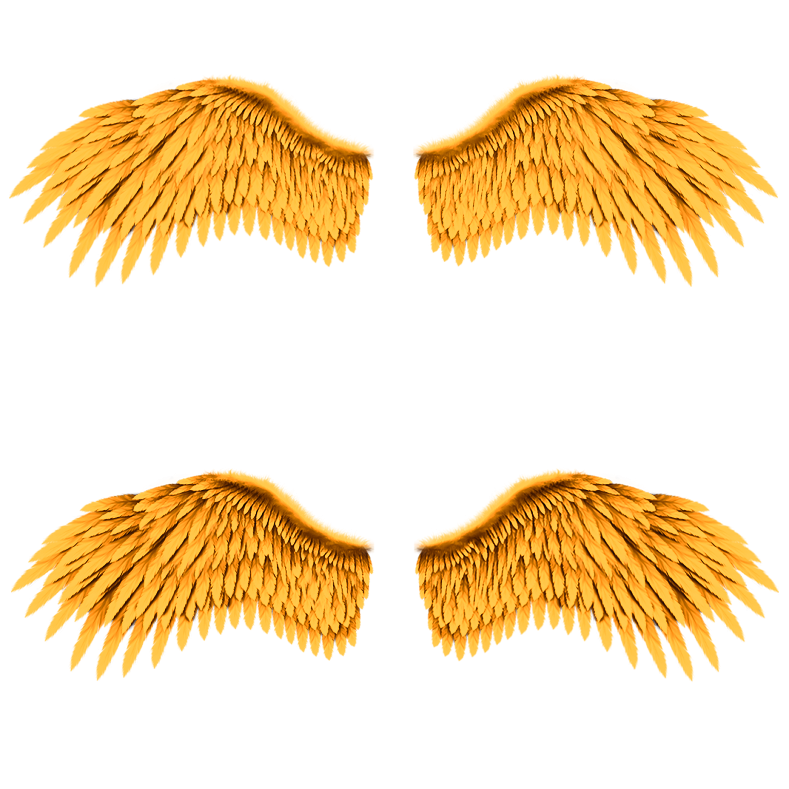 two golden wings on a white background