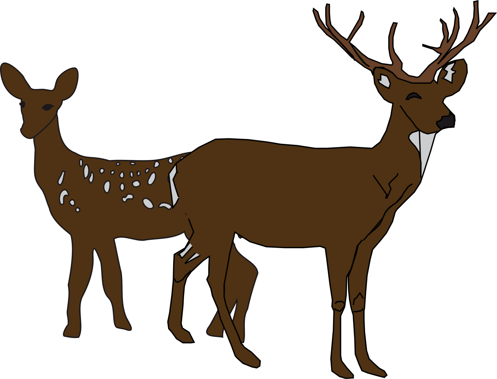 a deer and its baby