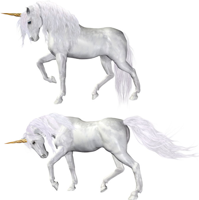 two white unicorns with long manes