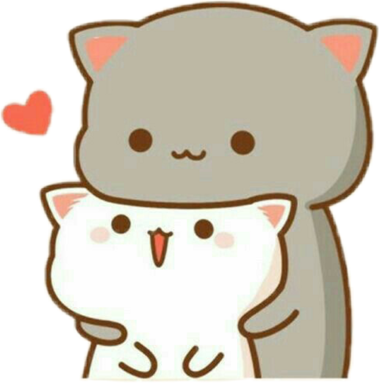 a couple of cats hugging each other cats