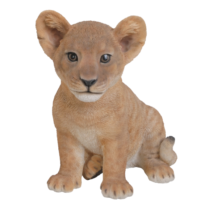 a small lion cub sitting on a white background