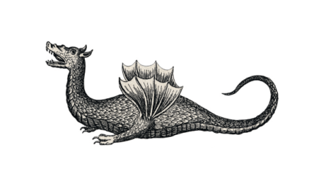 a black and white drawing of a dragon