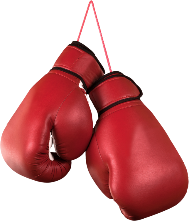 a pair of red boxing gloves hanging on a rope