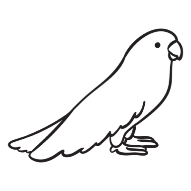 how to draw a parrot