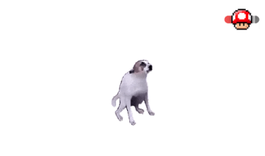 an image of a dog running through the air