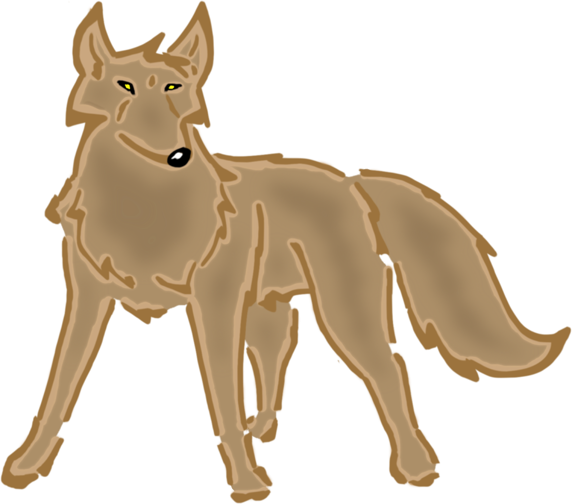 a drawing of a coyote