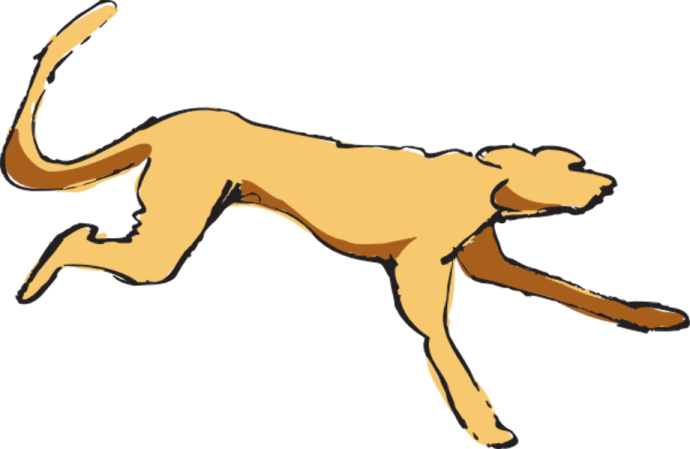a dog running on a white background