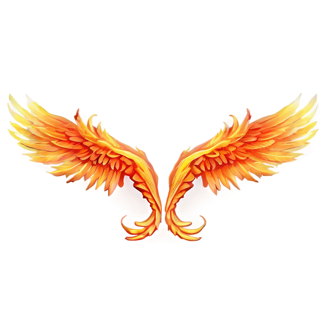 a pair of orange wings on a white background