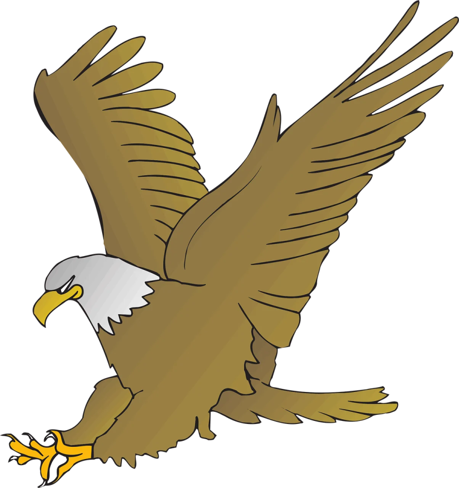 an eagle flying with its wings spread