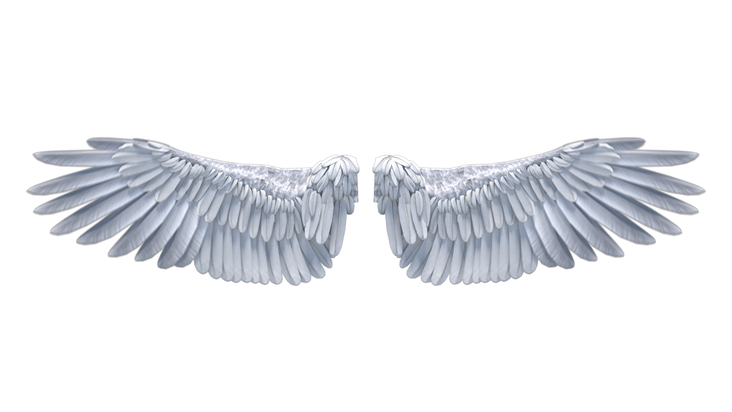 two white wings on a white background