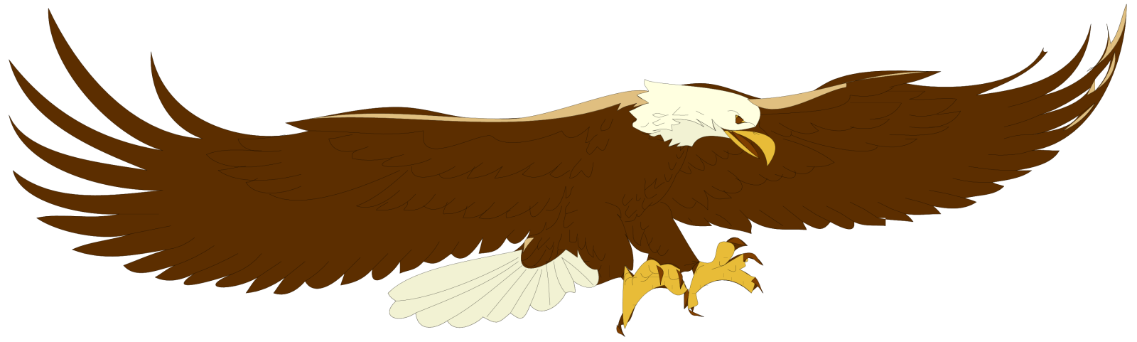 an eagle flying with its wings spread
