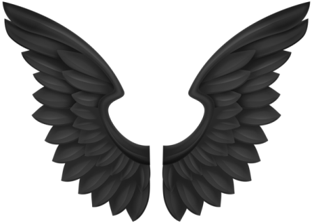 a pair of wings on a white background