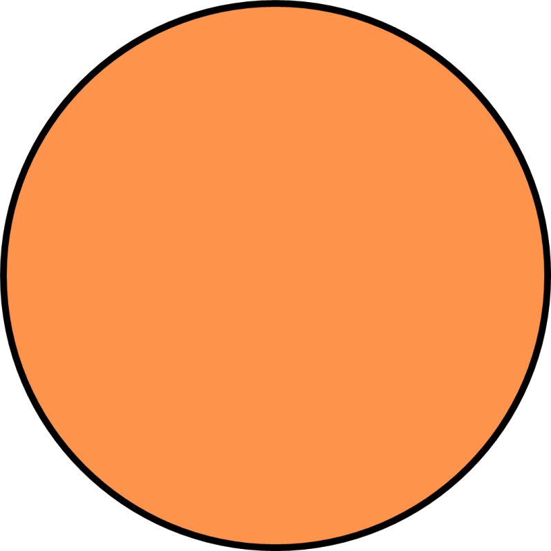 an orange circle on a white background