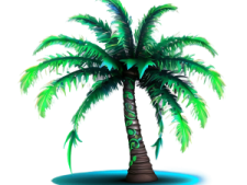 a palm tree on a white background