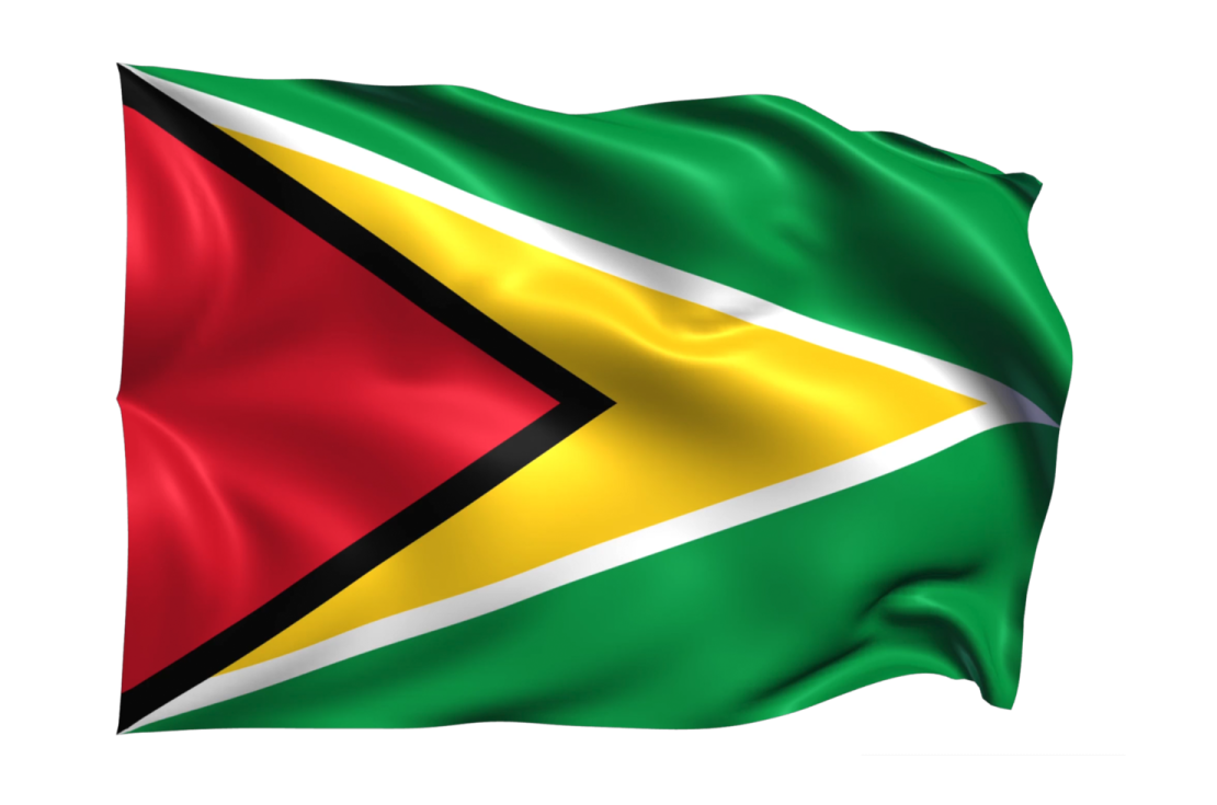 the flag of guyana