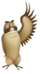 an owl with its wings spread out