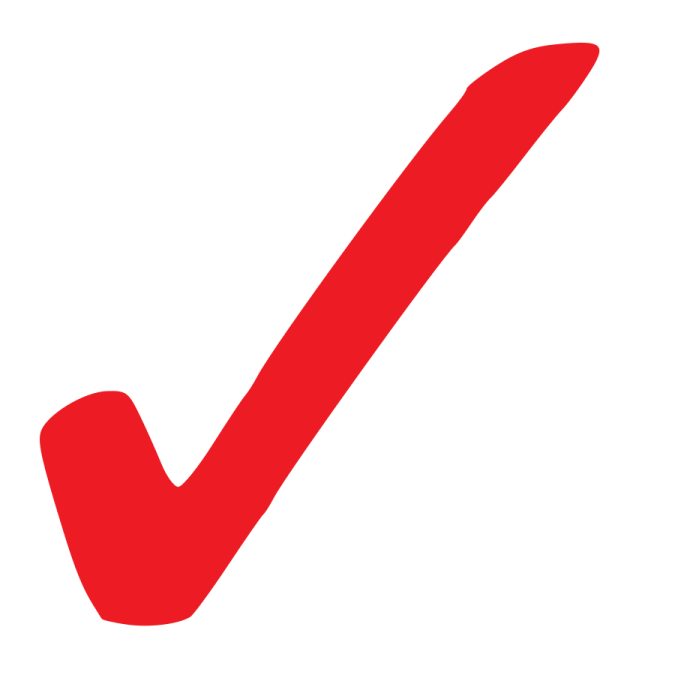 a red check mark on a white background