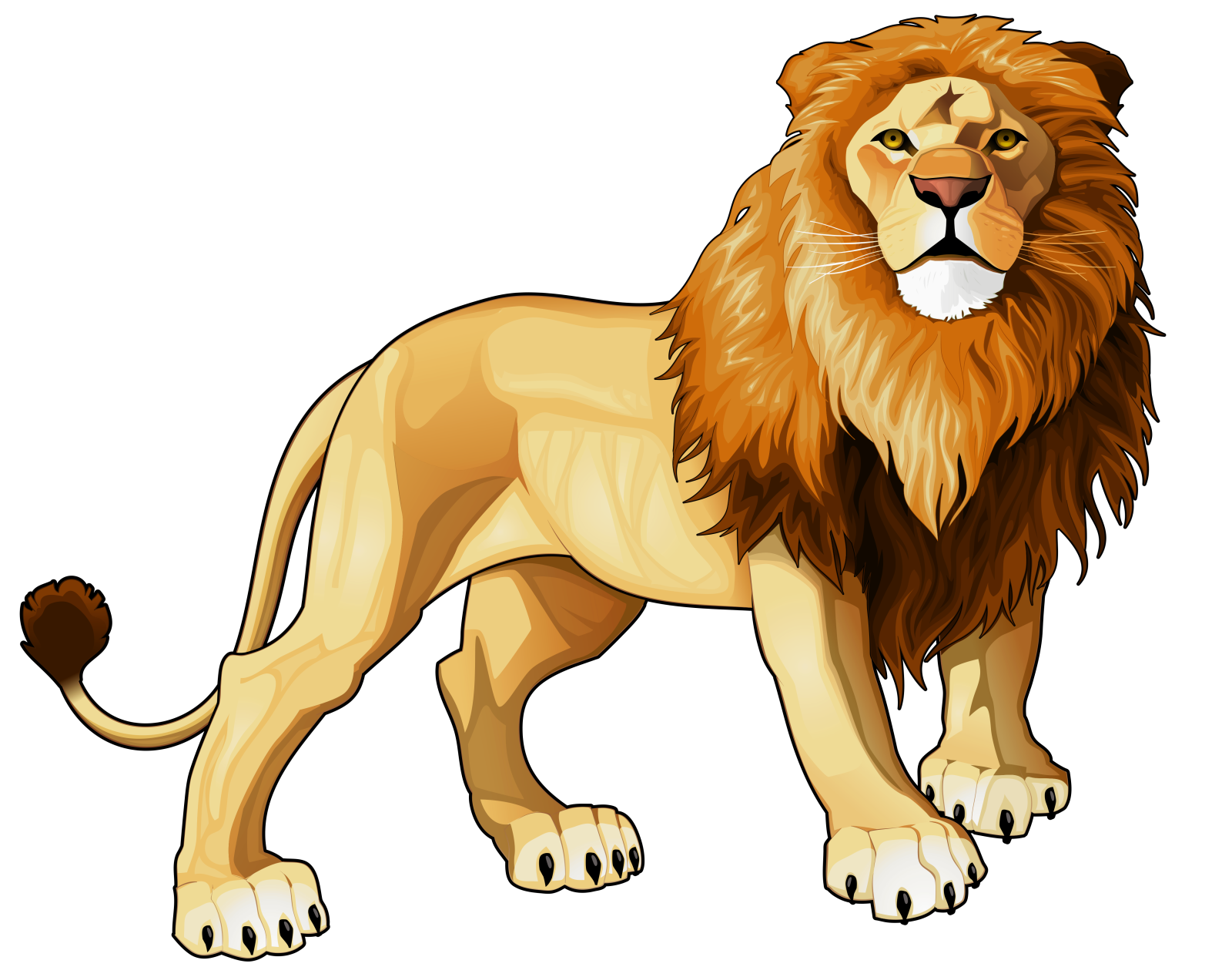 a cartoon lion standing and looking at the camera