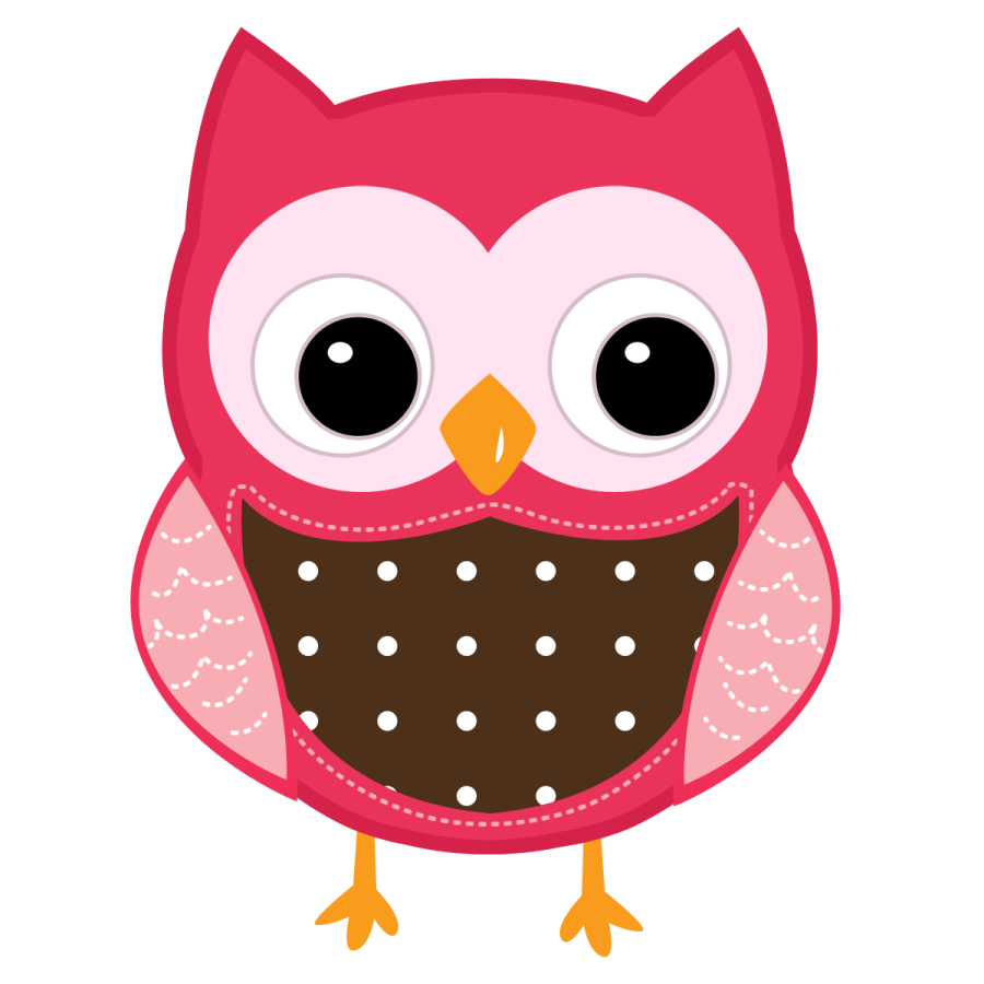 a pink and brown owl with big eyes