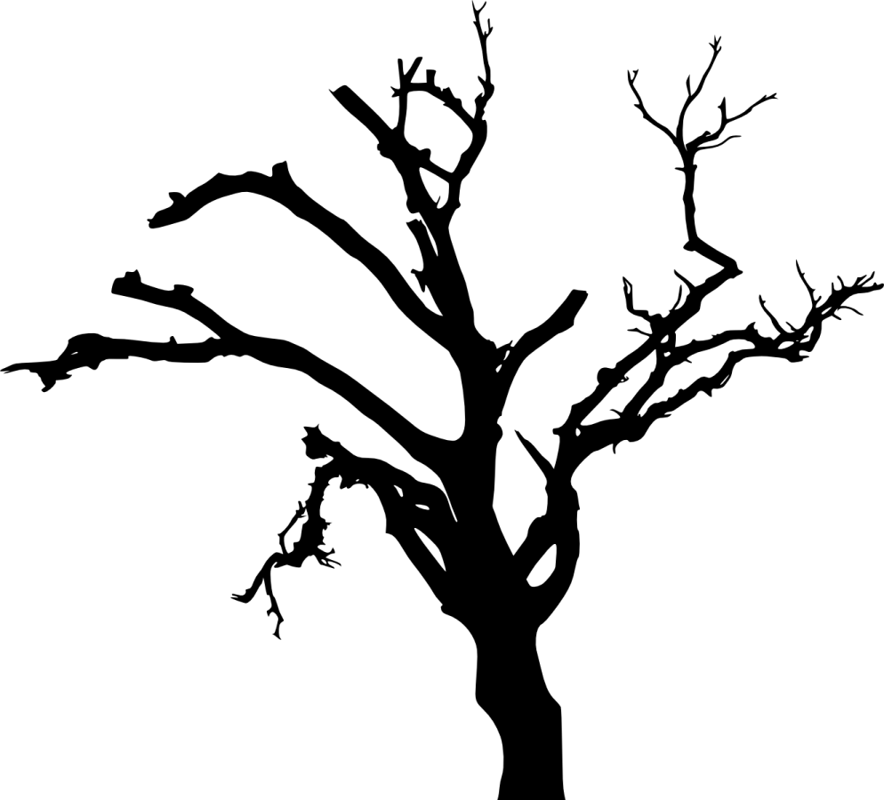 a black and white silhouette of a tree