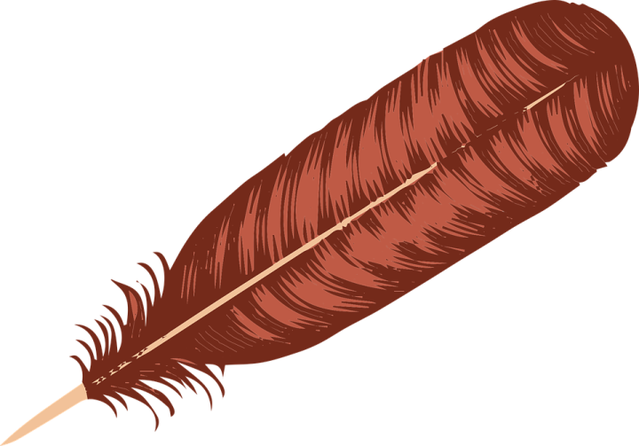 a brown feather on a white background