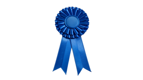 a blue rosette on a white background